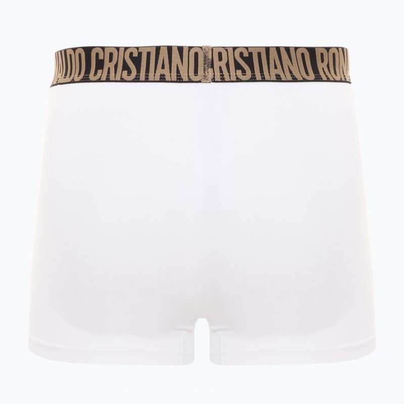Vyriškos trumpikės CR7 Basic Trunk 4 poros 2493 multicolor 5