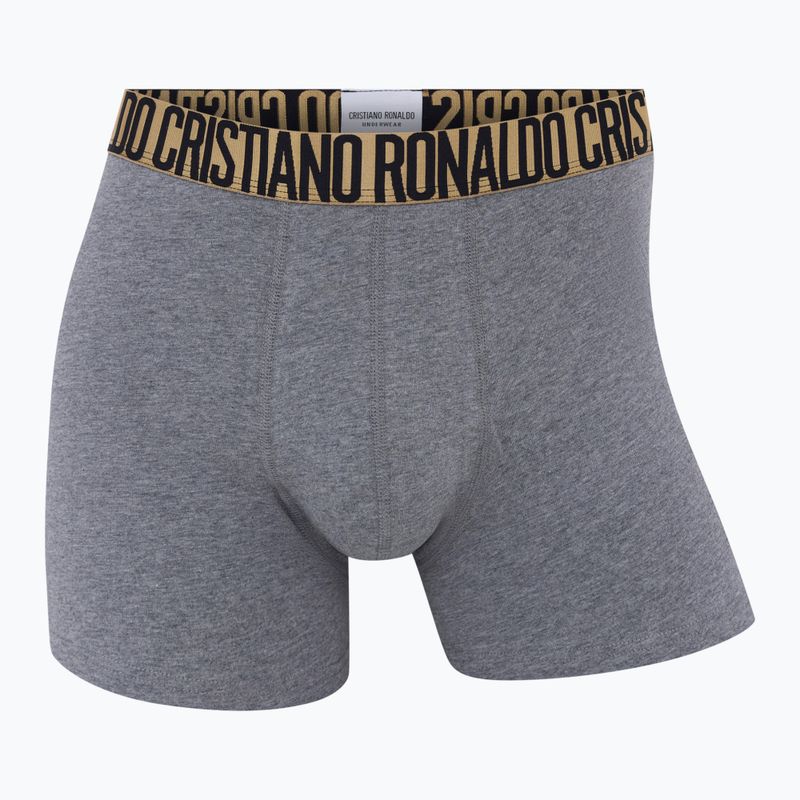 Vyriškos trumpikės CR7 Basic Trunk 4 pairs 2504 multicolor 5