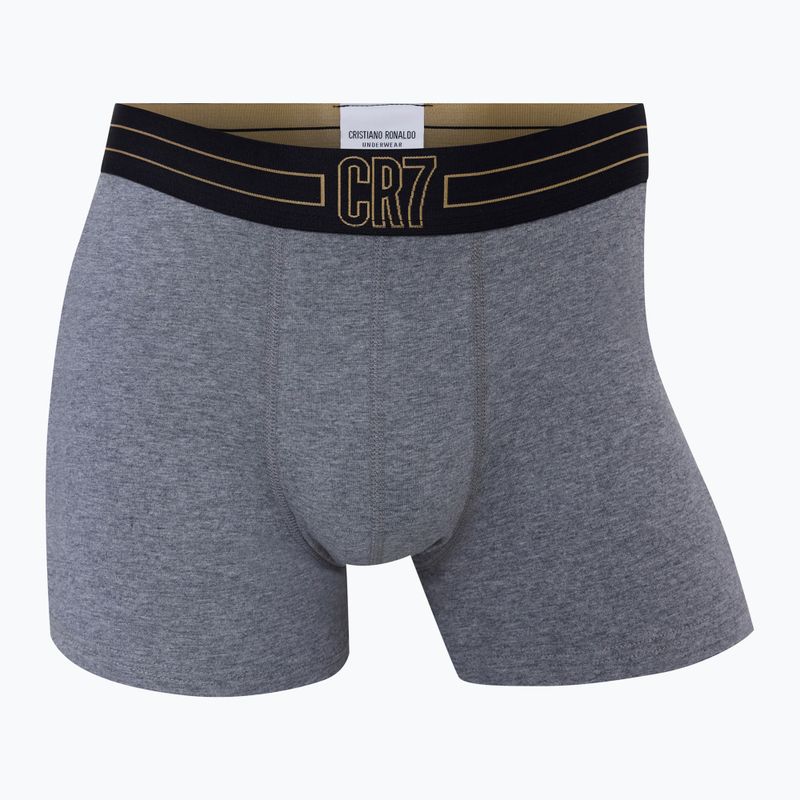 Vyriškos trumpikės CR7 Basic Trunk 7 by 2815 multicolor 5