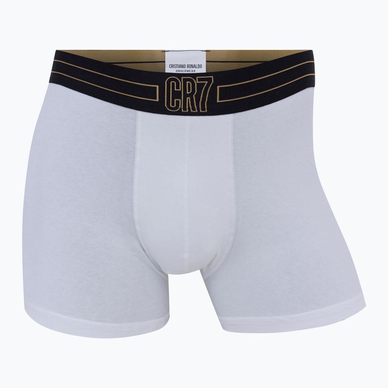 Vyriškos trumpikės CR7 Basic Trunk 7 by 2815 multicolor 7