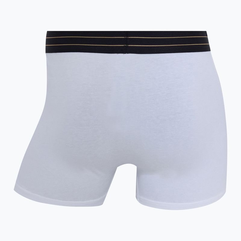 Vyriškos trumpikės CR7 Basic Trunk 7 by 2815 multicolor 8