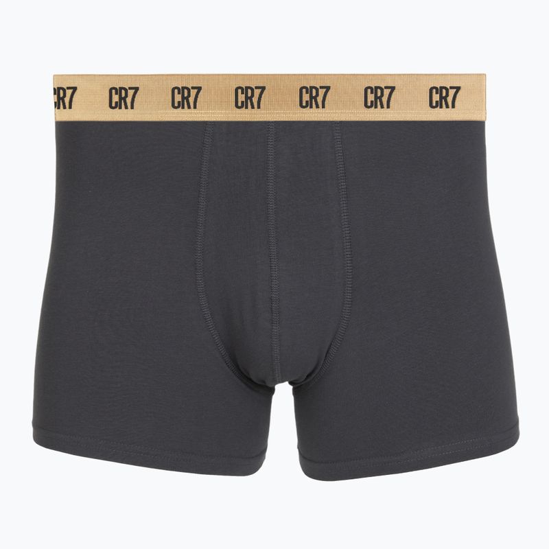 Vyriškos trumpikės CR7 Basic Trunk 5 pack multicolour 4