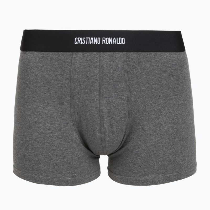 Vyriškos trumpikės CR7 Basic Trunk 3 pack multicolour 6