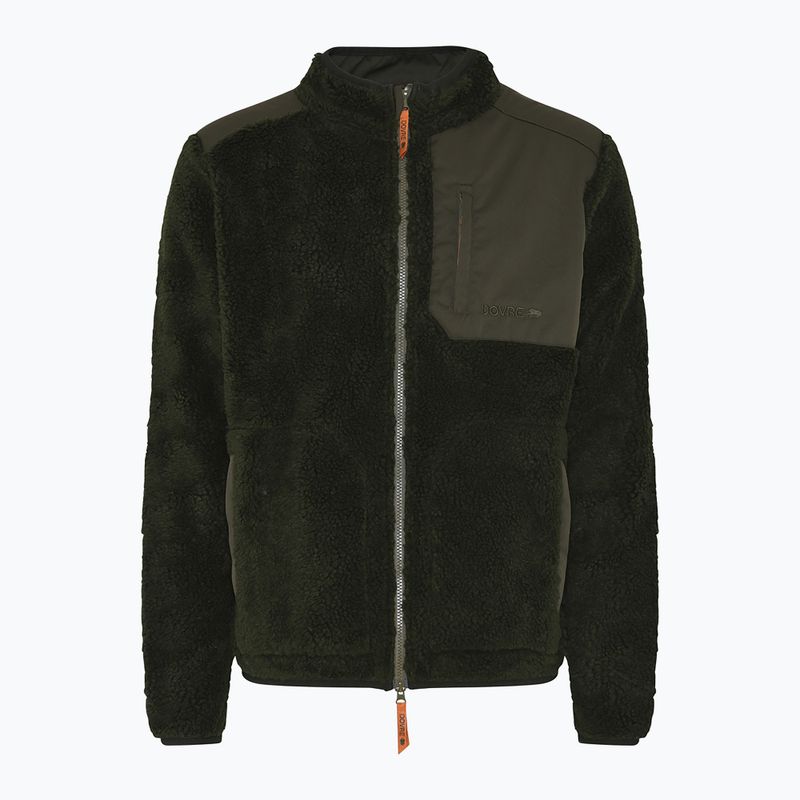 Vyriškas flisinis džemperis Dovre Teddy Fleece green 3