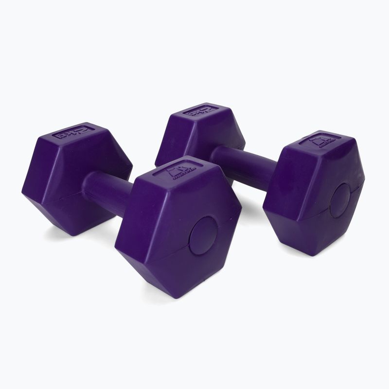 Meteor bituminiai hanteliai 2 x 2 kg violetinės spalvos 30166