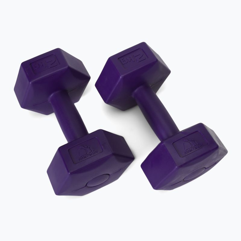 Meteor bituminiai hanteliai 2 x 2 kg violetinės spalvos 30166 2