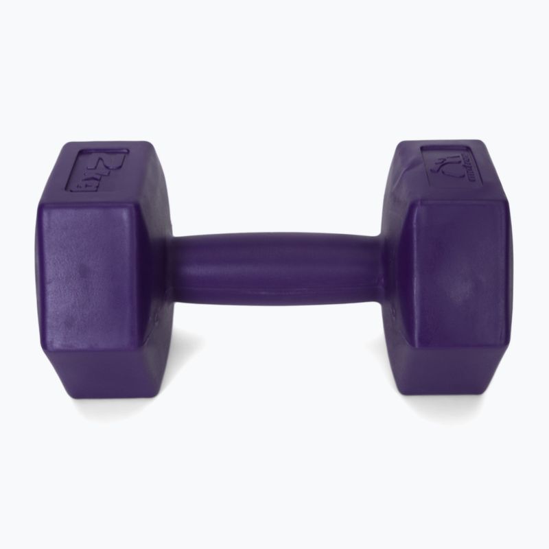 Meteor bituminiai hanteliai 2 x 2 kg violetinės spalvos 30166 4
