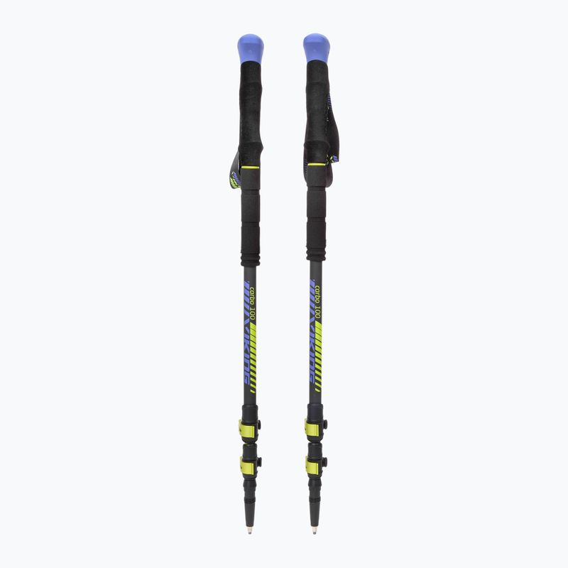 Žygio lazdos Viking Carbo Lite lime/blue 5