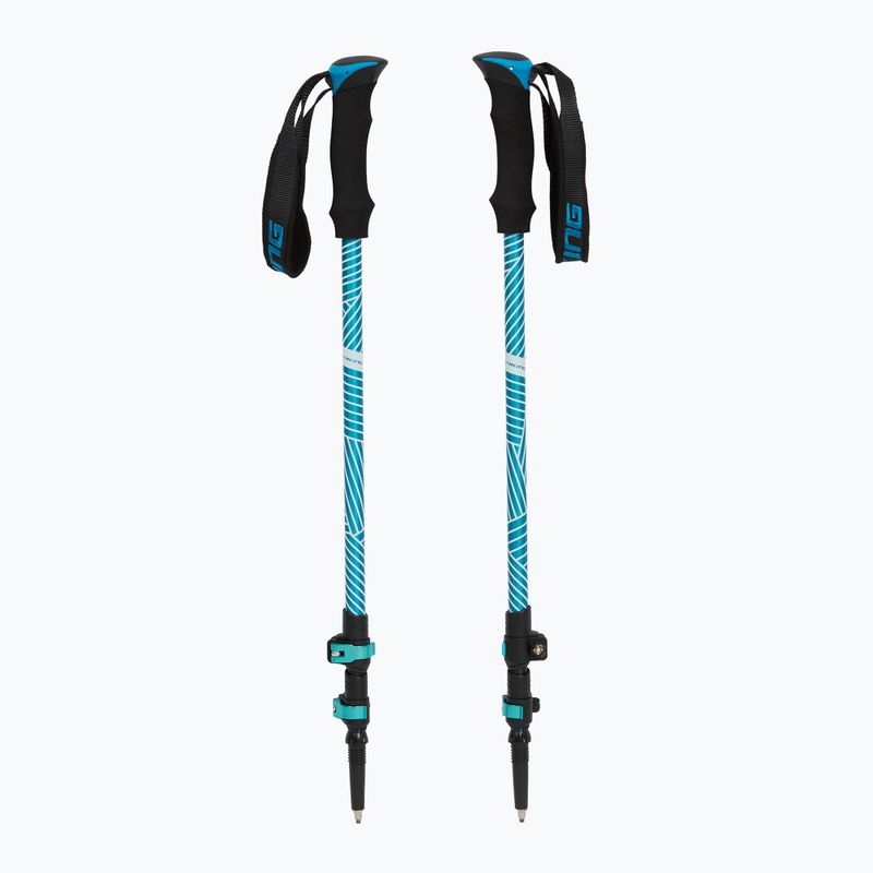 Žygio lazdos Viking Shiva black/turquoise 5