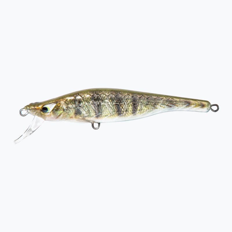 FishTank Delta Striped Green PRD-D12F-SG vobleris