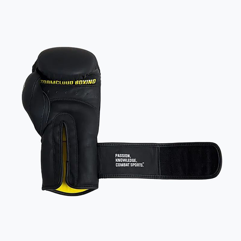 Bokso pirštinės StormCloud Boxing Pro black 6