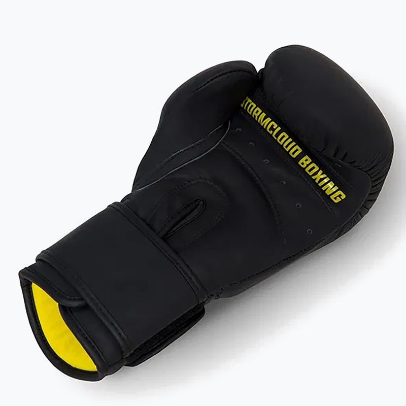 Bokso pirštinės StormCloud Boxing Pro black 8
