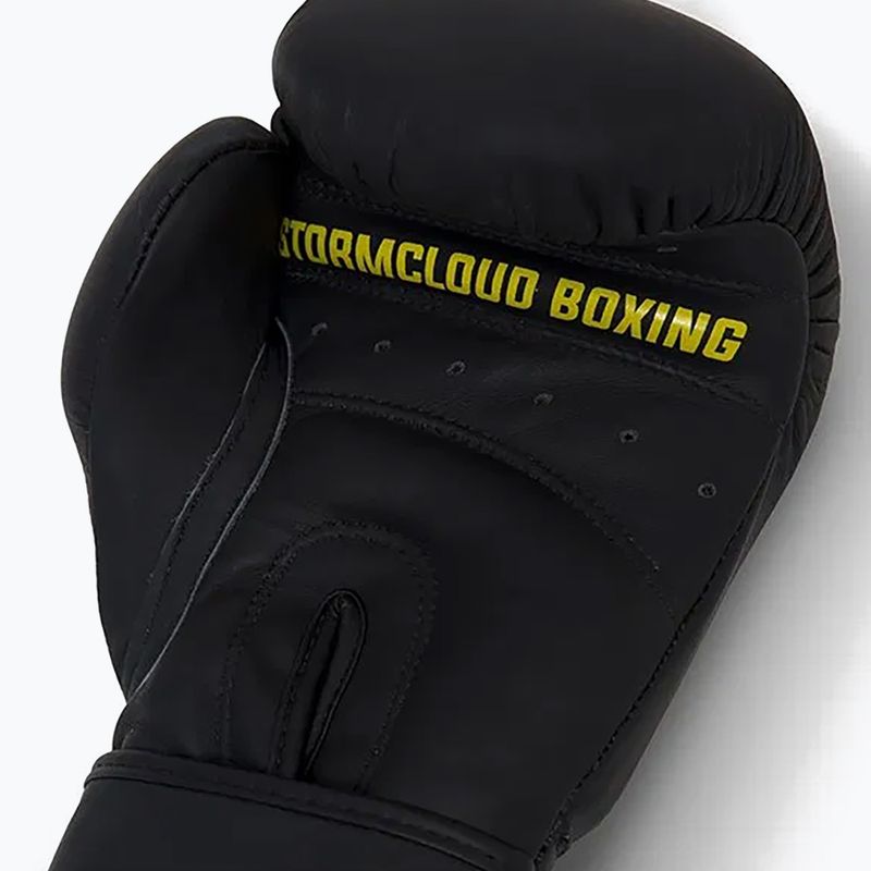 Bokso pirštinės StormCloud Boxing Pro black 9