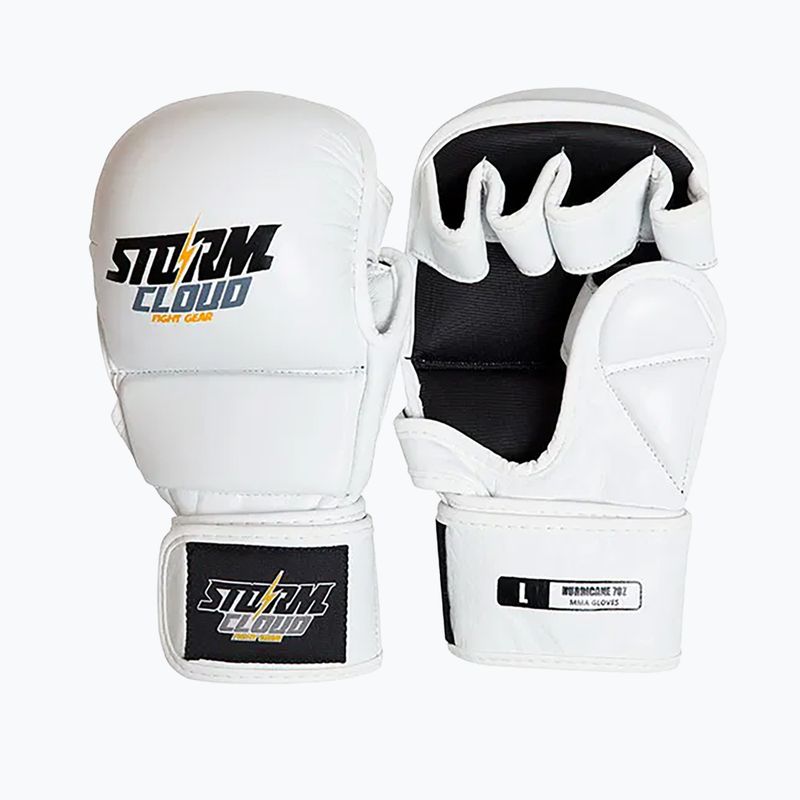 Grapplingo pirštinės StormCloud Hurricane white/black
