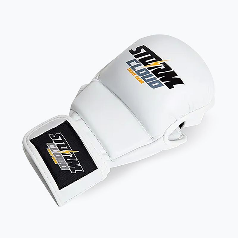 Grapplingo pirštinės StormCloud Hurricane white/black 3