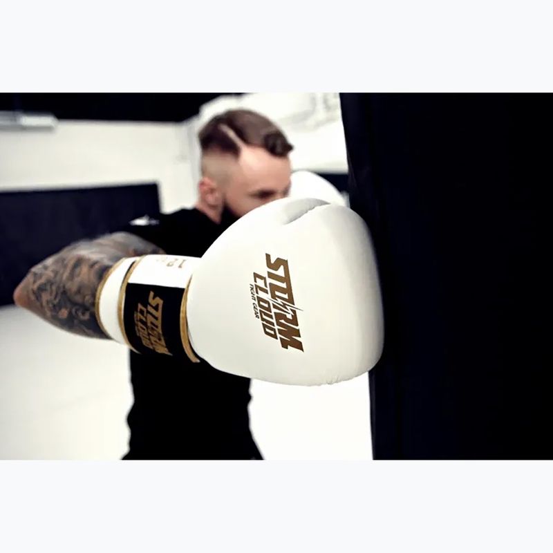 Bokso pirštinės StormCloud Boxing Pro white/gold 10