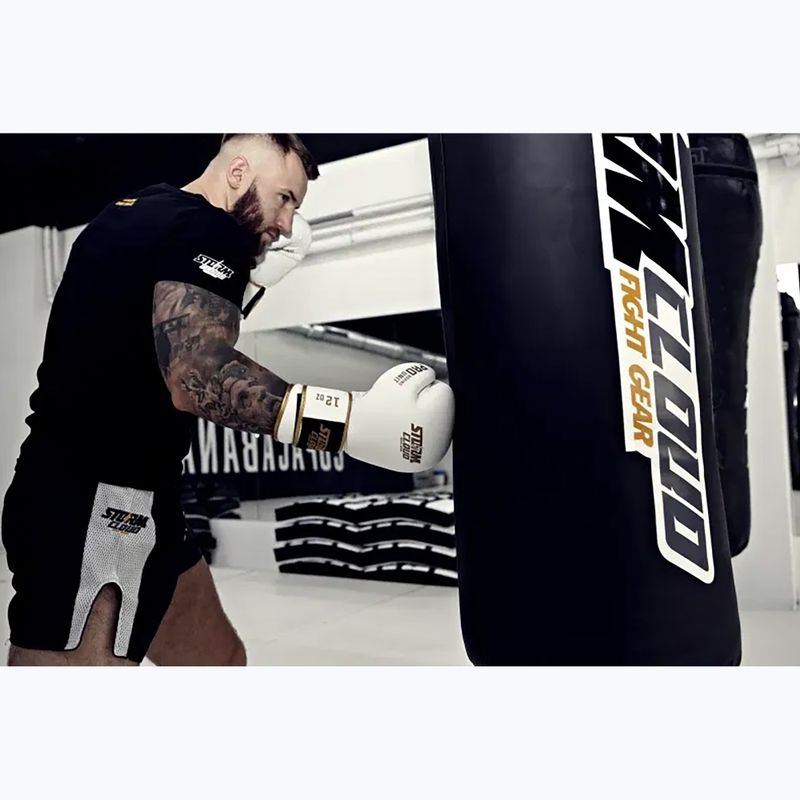 Bokso pirštinės StormCloud Boxing Pro white/gold 11