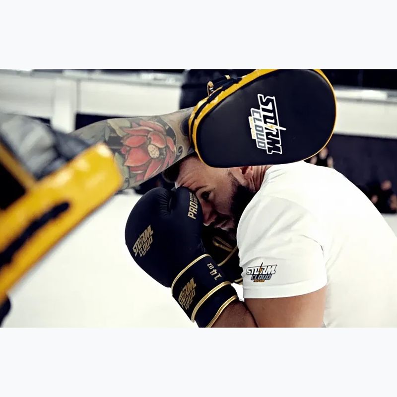 Bokso pirštinės StormCloud Boxing Pro black/gold 14