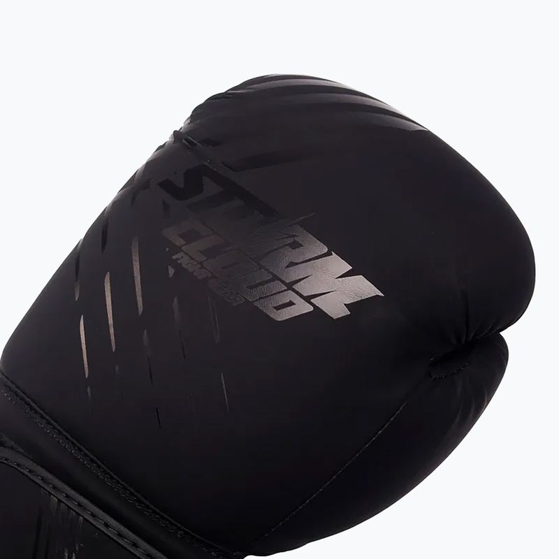 Bokso pirštinės StormCloud Lynx black/black 4