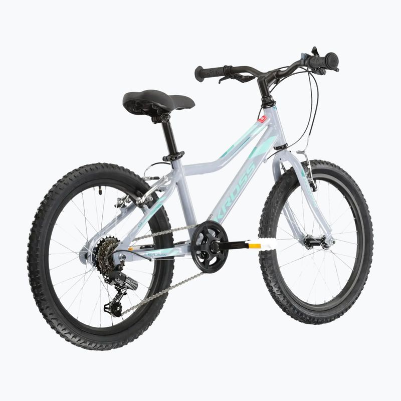 Vaikiškas dviratis KROSS Lea Mini 1.0 grey/mint/gloss 3