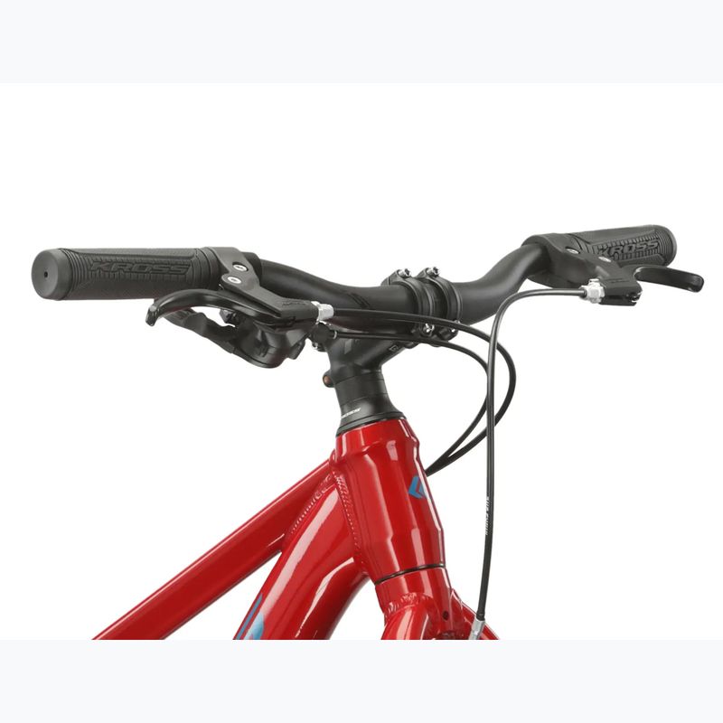 Vaikiškas dviratis KROSS Level Jr 1.0 red/teal/gloss 4