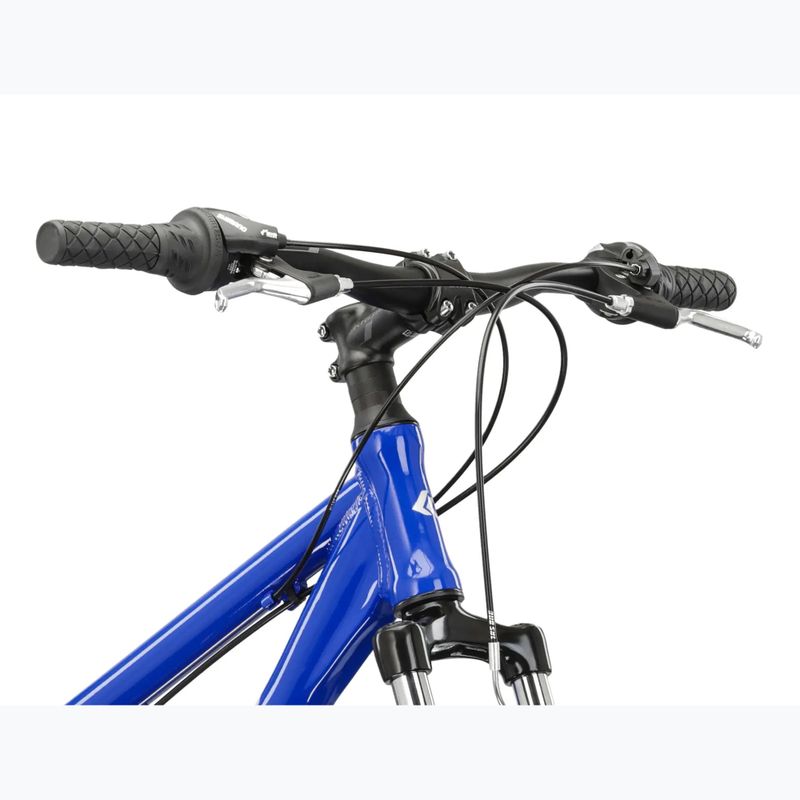 Kalnų dviratis KROSS Hexagon 1.0 26" blue/silver/gloss 4