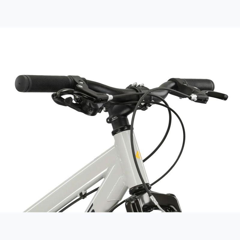 Vaikiškas dviratis KROSS Dust Jr 1.0 grey/black/gloss 4