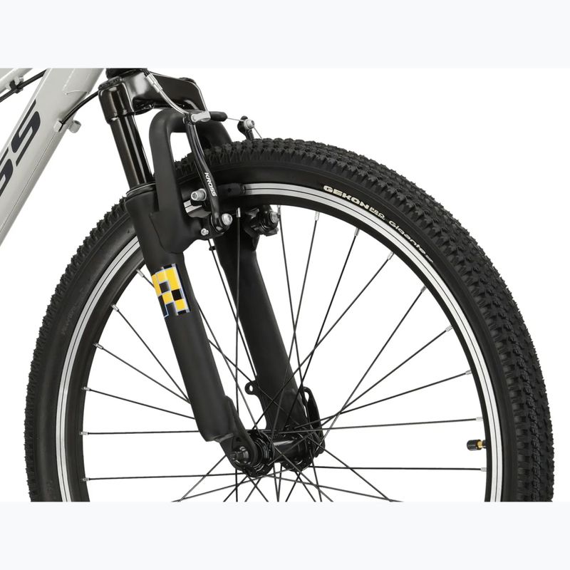Vaikiškas dviratis KROSS Dust Jr 1.0 grey/black/gloss 5