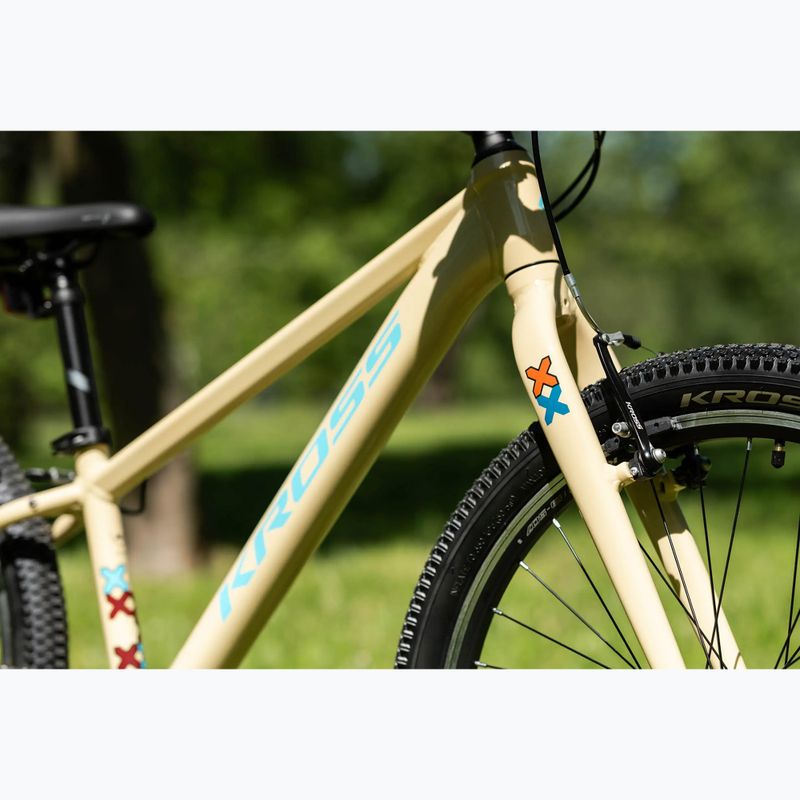 Vaikiškas dviratis KROSS Level Jr 1.0 beige/red/gloss 16