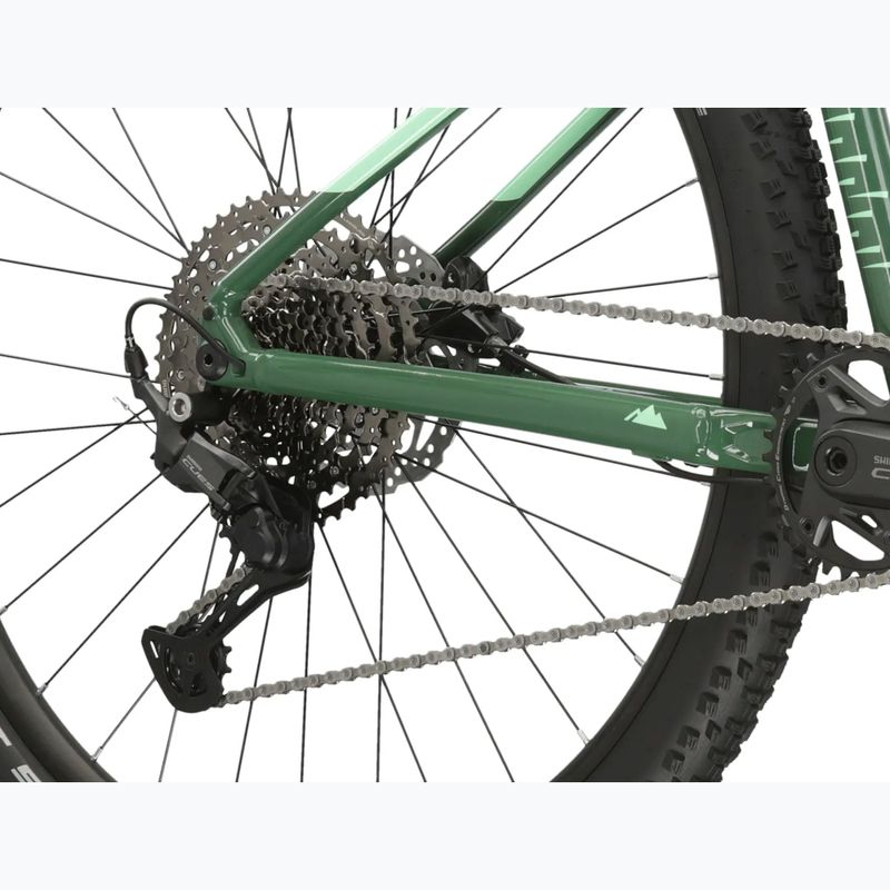 Kalnų dviratis KROSS Level 5.0 green/gloss 10