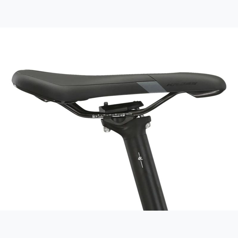 Kalnų dviratis KROSS Level 5.0 green/gloss 12