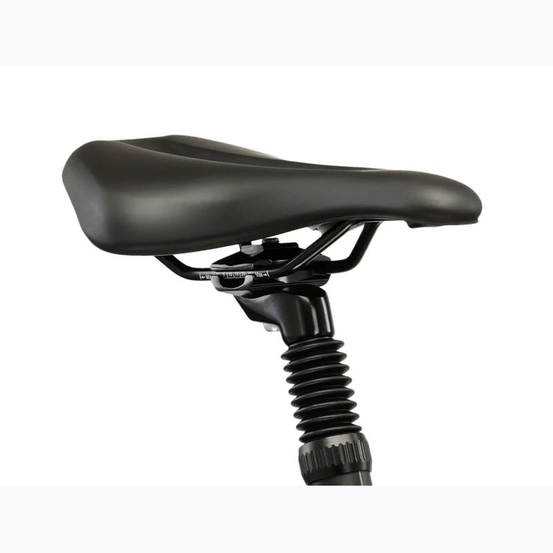 Moteriškas krosinis dviratis KROSS Evado 4.0 In grey/pink/gloss 11