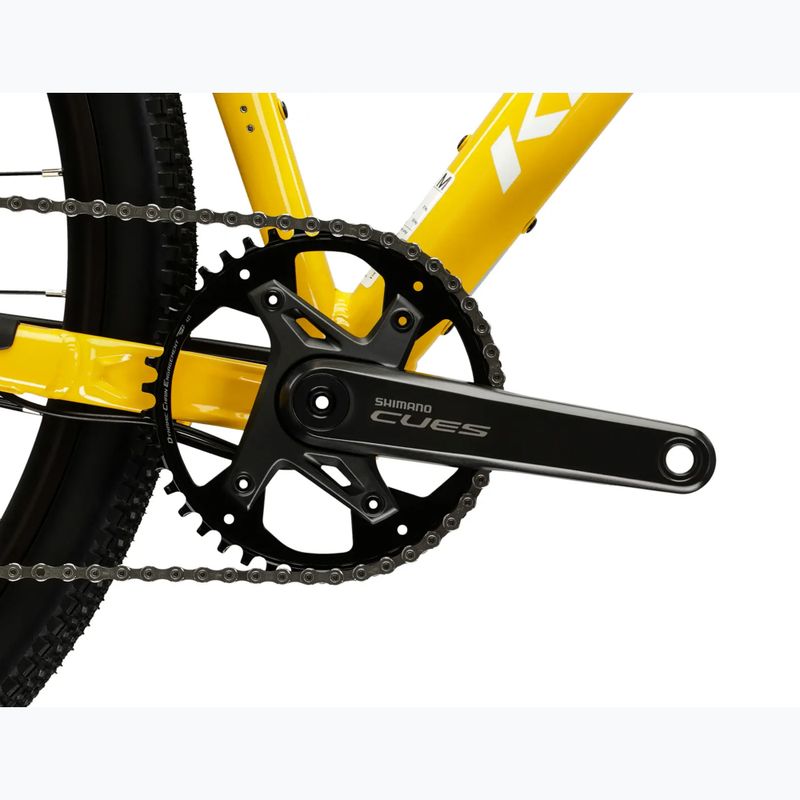 Gravel dviratis KROSS Esker FL green/yellow/gloss 10