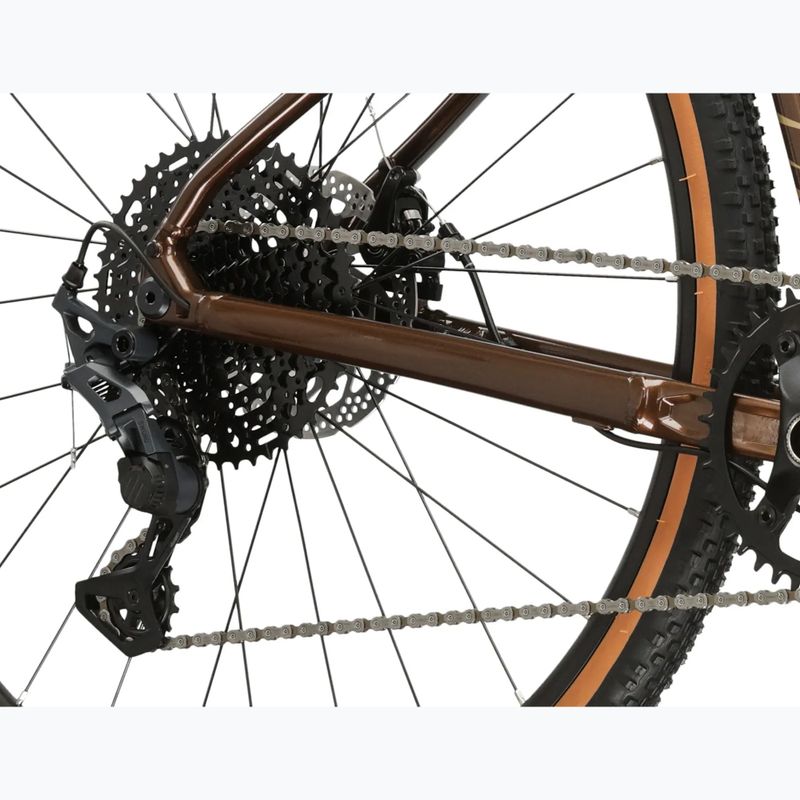 Gravel dviratis KROSS Esker 2.0 brown/beige/gloss 9