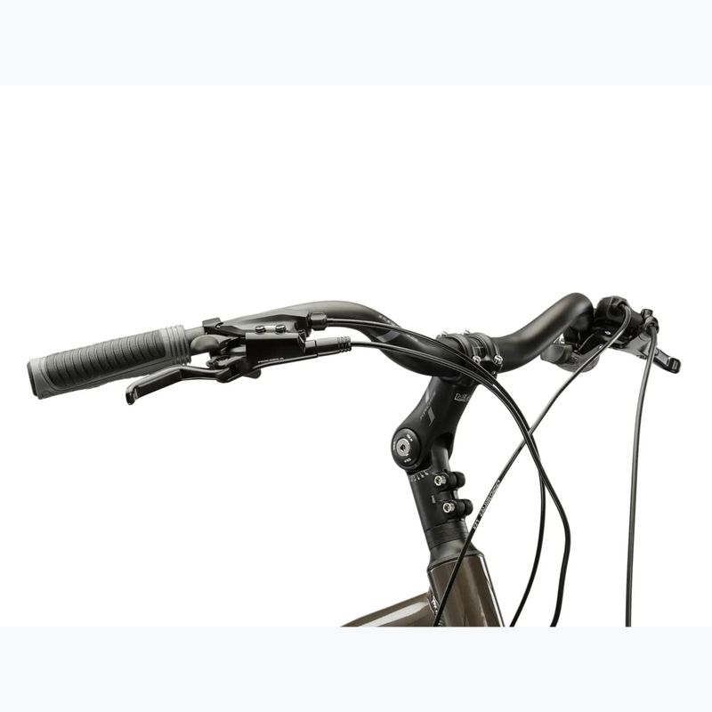 Vyriškas žygio dviratis KROSS Trans 4.0 brown/silver/gloss 4