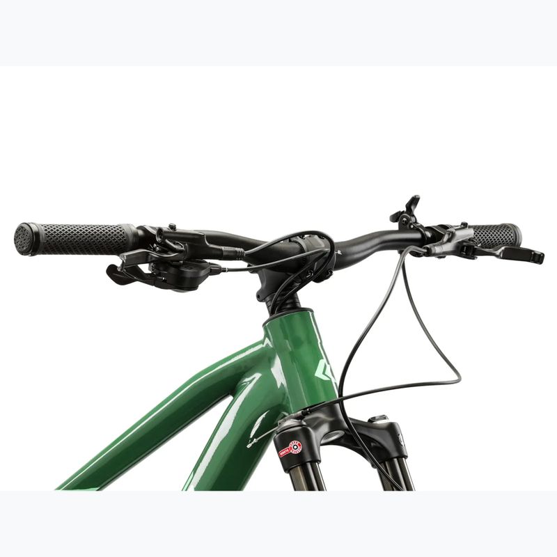 Kalnų dviratis KROSS Level 5.0 green/green/gloss 4