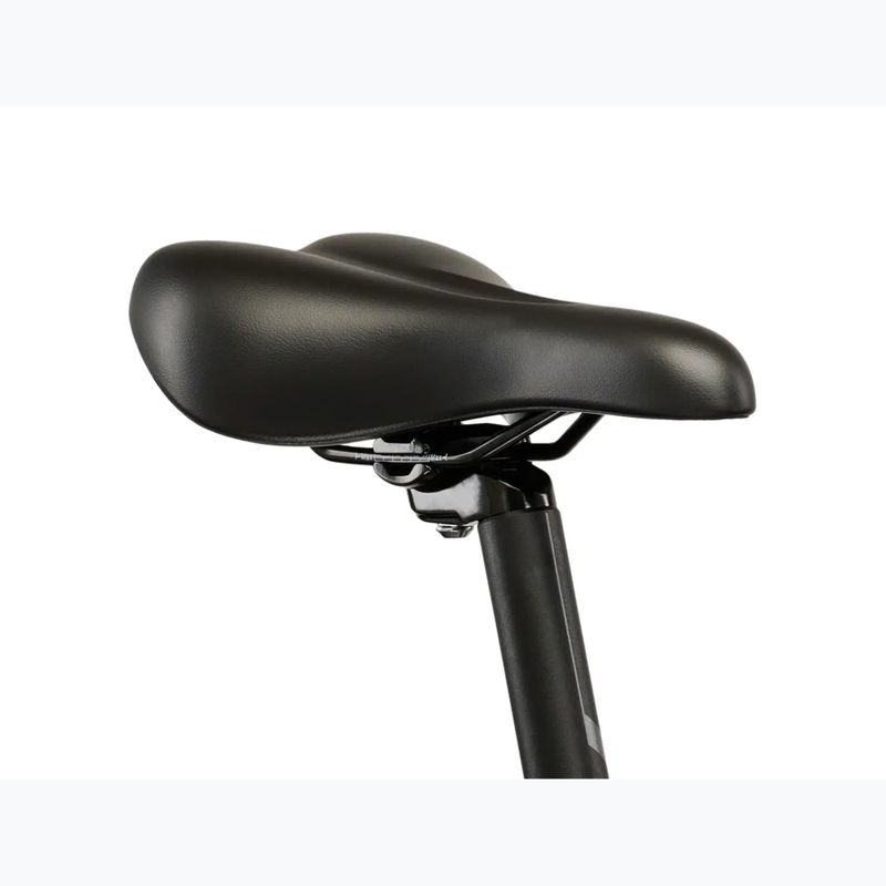 Moteriškas elektrinis dviratis KROSS Lea Boost 1.0 522Wh purple/pink/gloss 14