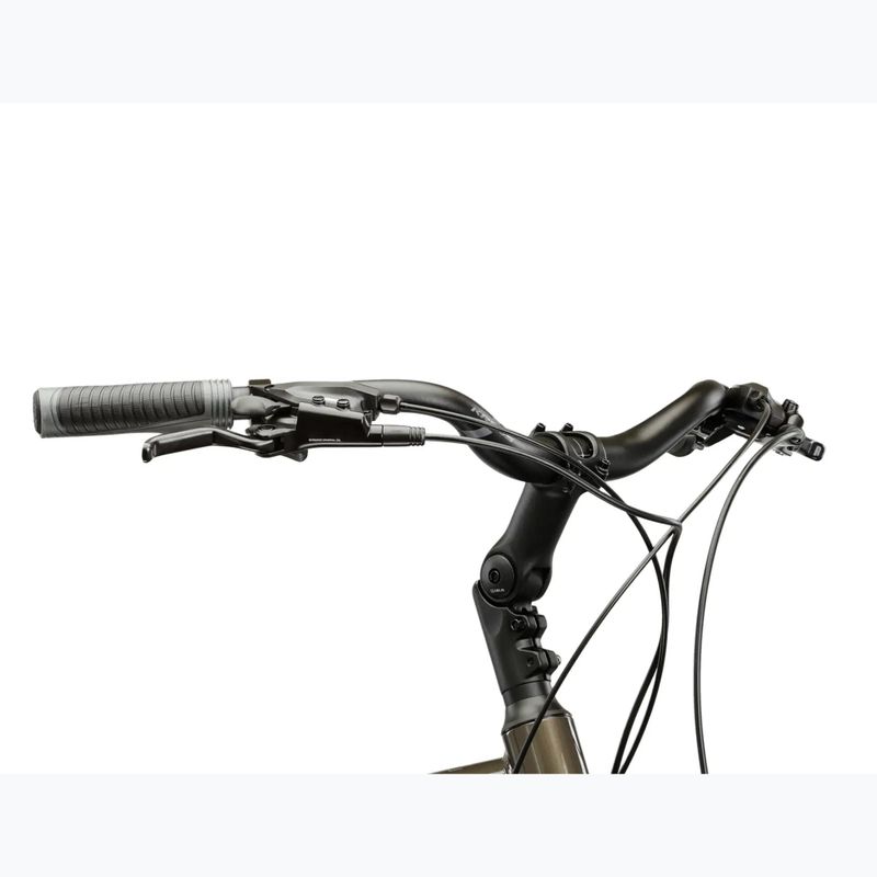 Žygio dviratis KROSS Trans 4.0 brown/silver/gloss 4