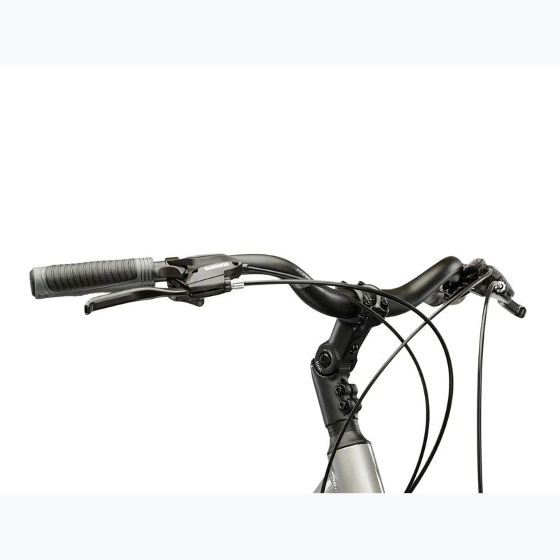 Moteriškas žygio dviratis KROSS Trans 3.0 In silver/gray/gloss 4