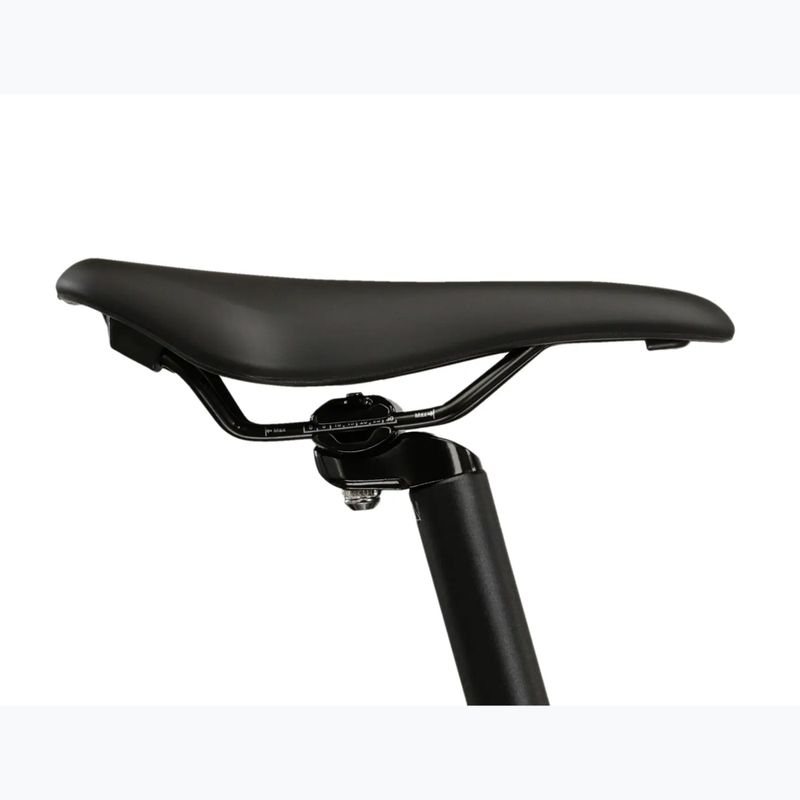 Moteriškas kalnų dviratis KROSS Lea 3.0 W 29 white/pink/gloss 12