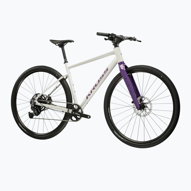 Gravel dviratis KROSS Esker 1.0 FL grey/purple/gloss 2