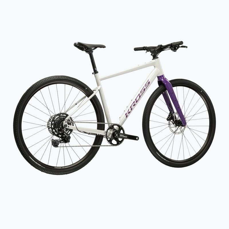 Gravel dviratis KROSS Esker 1.0 FL grey/purple/gloss 3