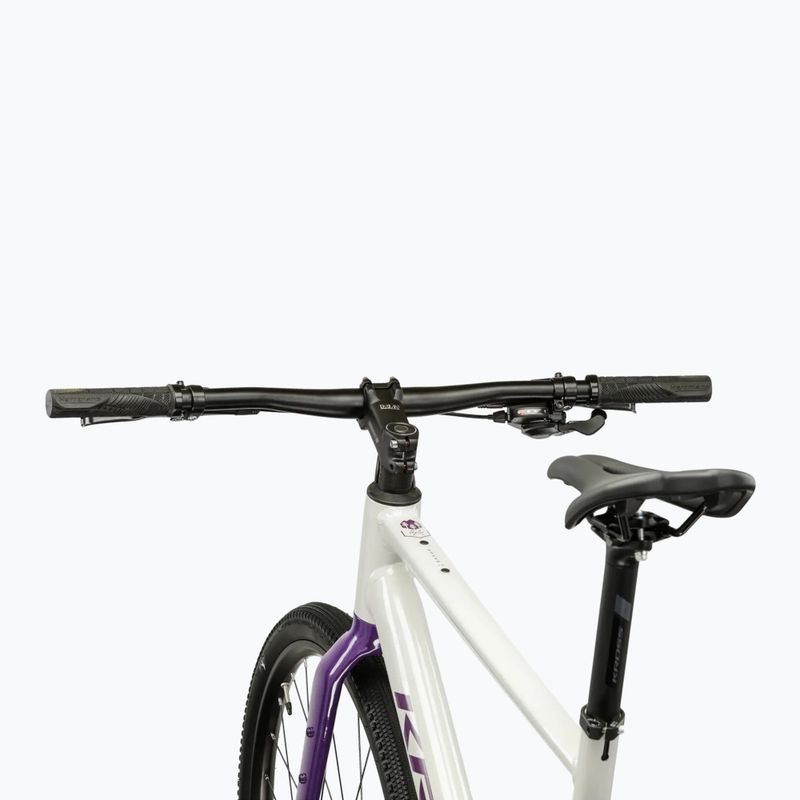 Gravel dviratis KROSS Esker 1.0 FL grey/purple/gloss 4