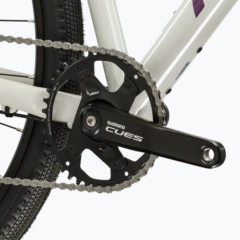 Gravel dviratis KROSS Esker 1.0 FL grey/purple/gloss 9