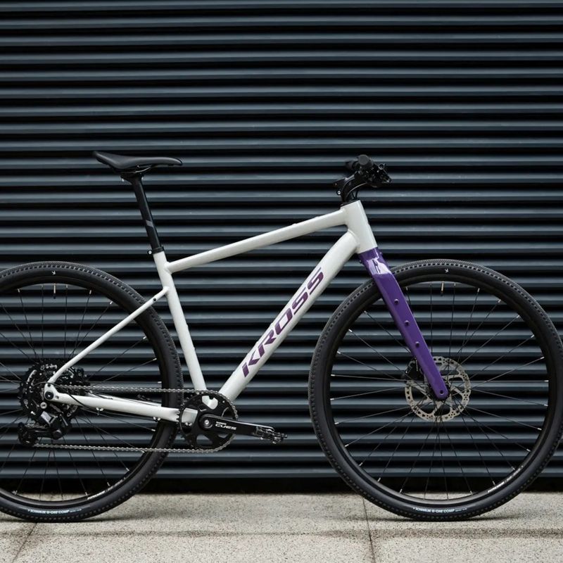 Gravel dviratis KROSS Esker 1.0 FL grey/purple/gloss 13