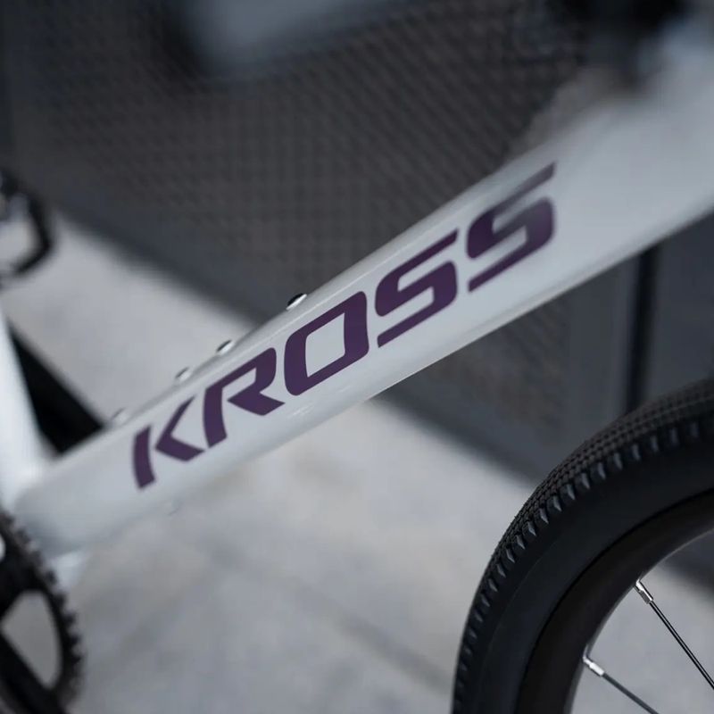 Gravel dviratis KROSS Esker 1.0 FL grey/purple/gloss 14