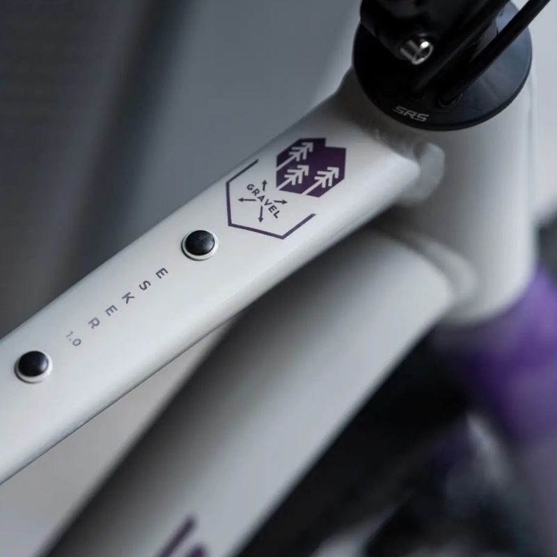 Gravel dviratis KROSS Esker 1.0 FL grey/purple/gloss 15