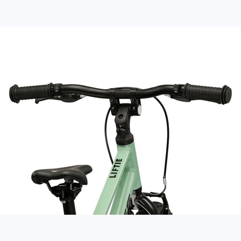 Vaikiškas dviratis KROSS Liftie 16 green/black/matte 10