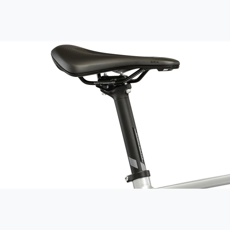 Plento dviračio KROSS Alta 2.0 silver/turquoise/gloss 10