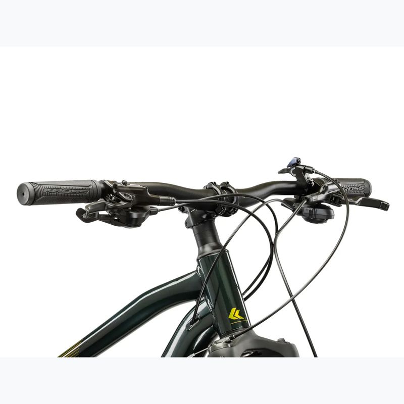 Kalnų dviratis KROSS Hexagon 5.0 29" green/green/gloss 4